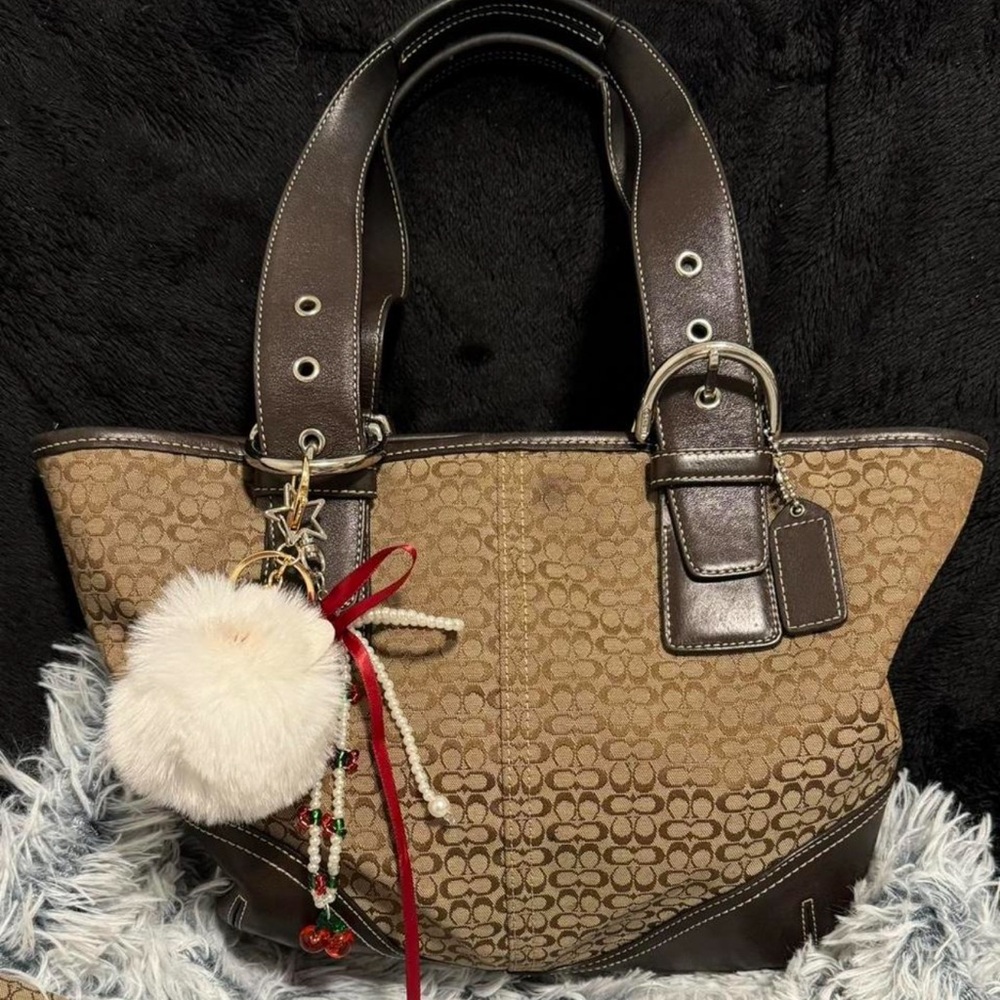Coach Tan and Brown Signature Tote